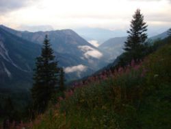 Regina-F-Rau_2013-08-13_Frohkostgipfel  (027).JPG
